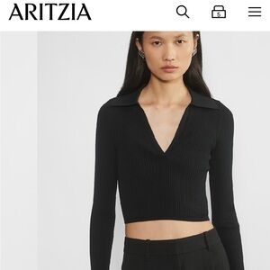 Aritzia Sculpt Knit Polo Longsleeve